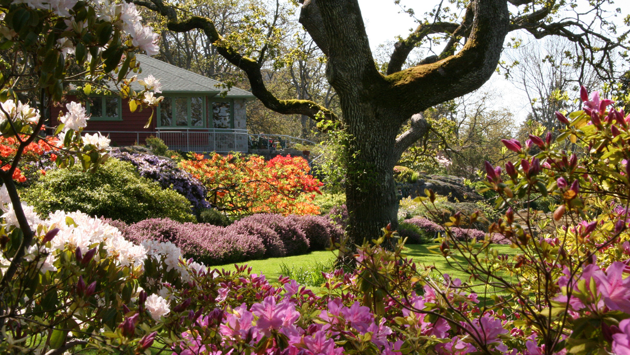 Abkhazi-Garden-from-summerhouse-1240x700